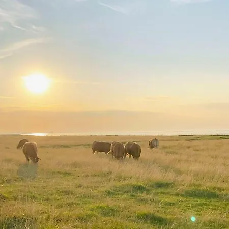 Peters - Genusshotel In Der 3* Wingst